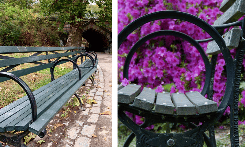 Benches Of Central Park preview 4